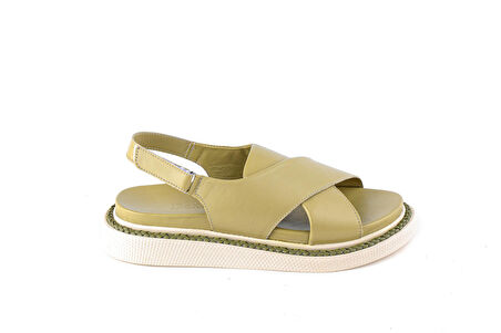 Dexter OFL1073-311-13