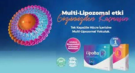 Lipofta L 30 Kapsül Multi Lipozomal Vitamin Kompleks Resveratrol, Koenzim Q10, Balık Yağları 