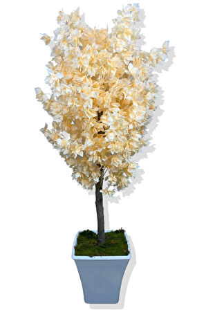 SOMON BEGONVİL 160 CM YAPAY AĞAÇ BEYAZ KARE SAKSI