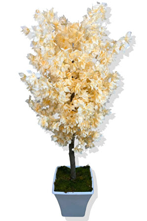 SOMON BEGONVİL 160 CM YAPAY AĞAÇ BEYAZ KARE SAKSI