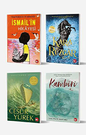 11 + Yaş İçin Okuma Seti (4 Kitap)