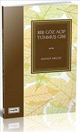 Bir Göz Açıp Yummuş Gibi