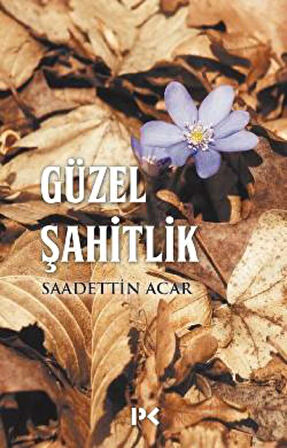 Güzel Şahitlik