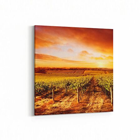 Olla 16018K Günbatımı Görseli Kare Kanvas Tablo (Ölçü: 25X25)