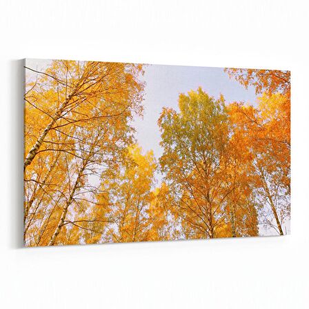 Olla 11035Y Ağaç Görseli Yatay Kanvas Tablo (Ölçü: 30X20)