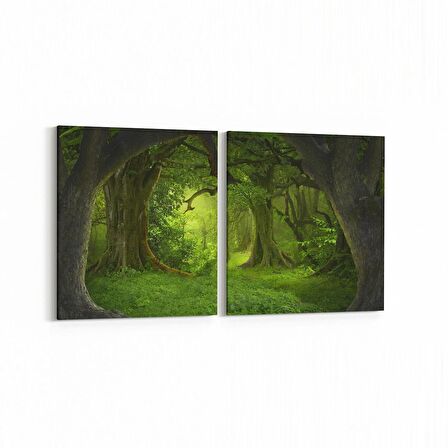 Olla 14120K2Y Doğa / Manzara Görseli Kare 2'li Yatay Kanvas Tablo (Ölçü: 85X40)