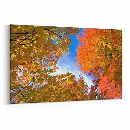 Olla 10664Y Ağaç Görseli Yatay Kanvas Tablo (Ölçü: 90X60)