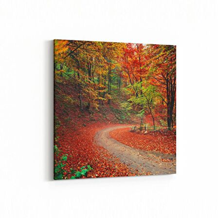 Olla 14128K Doğa / Manzara Görseli Kare Kanvas Tablo (Ölçü: 25X25)