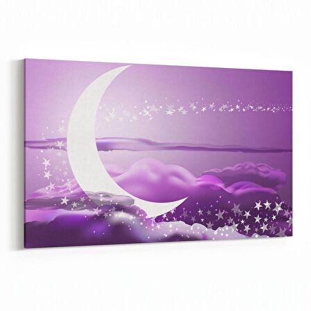 Olla 14657Y Gece Gökyüzü Görseli Yatay Kanvas Tablo (Ölçü: 70X50)
