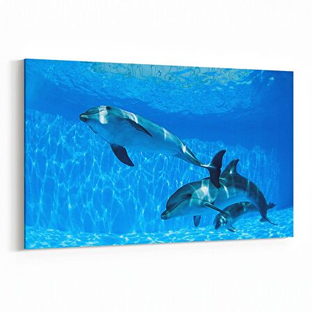 Olla 12932Y Deniz / Okyanus Görseli Yatay Kanvas Tablo (Ölçü: 30X20)