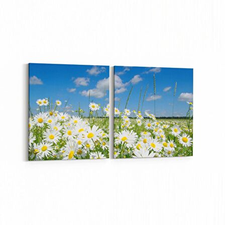 Olla 13569K2Y Doğa / Manzara Görseli Kare 2'li Yatay Kanvas Tablo (Ölçü: 65X30)