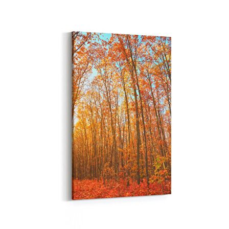 Olla 13239D Doğa / Manzara Görseli Dikey Kanvas Tablo (Ölçü: 60X90)