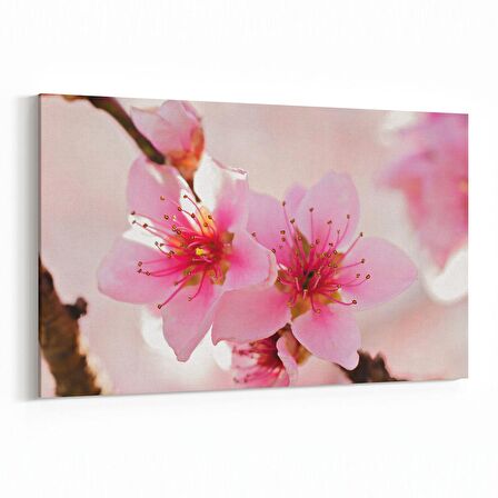 Olla 10649Y Ağaç Görseli Yatay Kanvas Tablo (Ölçü: 30X20)