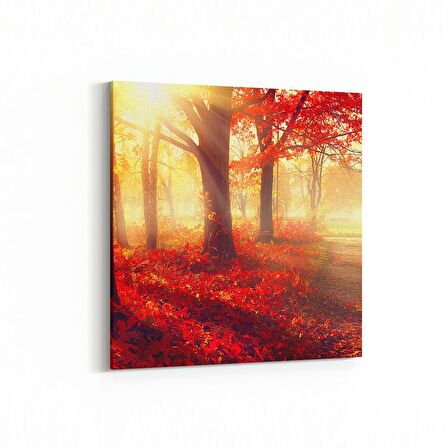 Olla 13725K Doğa / Manzara Görseli Kare Kanvas Tablo (Ölçü: 30X30)