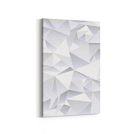 Olla 10445D Beyaz Kabartma Görseli Dikey Kanvas Tablo (Ölçü: 60X90)