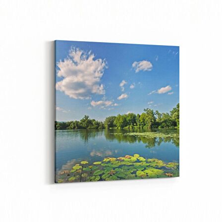 Olla 14483K Doğa / Manzara Görseli Kare Kanvas Tablo (Ölçü: 100X100)