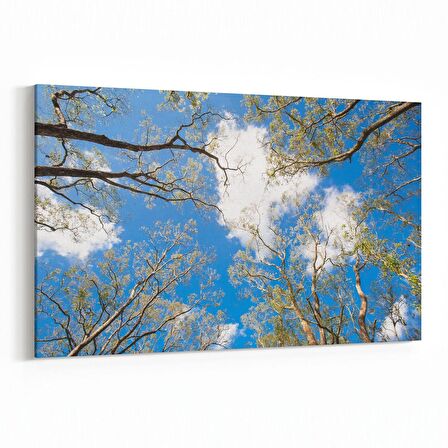 Olla 10526Y Ağaç Görseli Yatay Kanvas Tablo (Ölçü: 90X60)