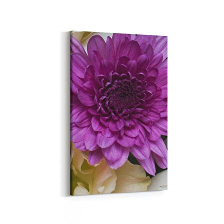 Olla 11637D Çiçek Görseli Dikey Kanvas Tablo (Ölçü: 100X150)