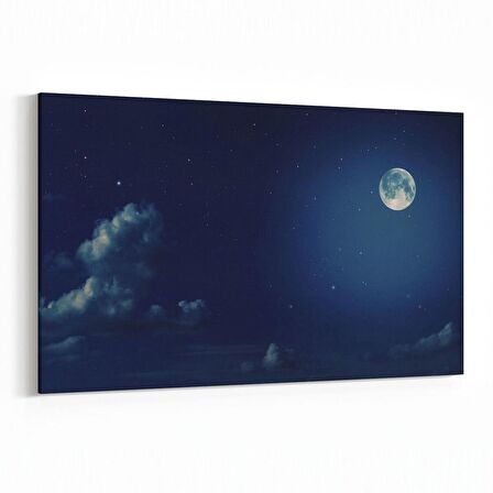 Olla 14849Y Gece Gökyüzü Görseli Yatay Kanvas Tablo (Ölçü: 70X50)