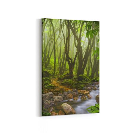 Olla 14431D Doğa / Manzara Görseli Dikey Kanvas Tablo (Ölçü: 20X30)