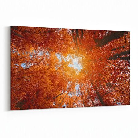 Olla 10509Y Ağaç Görseli Yatay Kanvas Tablo (Ölçü: 90X60)