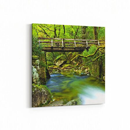 Olla 14285K Doğa / Manzara Görseli Kare Kanvas Tablo (Ölçü: 25X25)