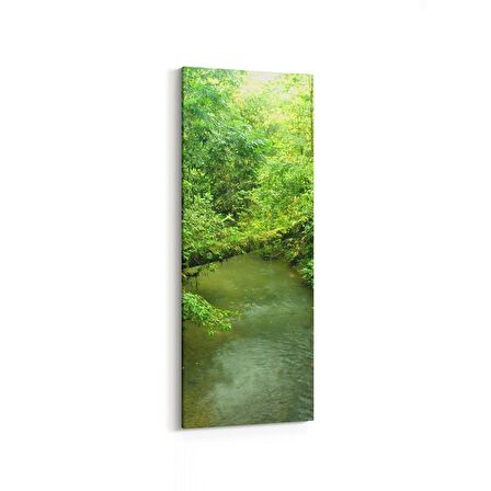 Olla 14283DI Doğa / Manzara Görseli Dikey İnce Kanvas Tablo (Ölçü: 40X120)
