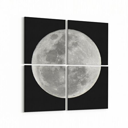 Olla 14869K4 Gece Gökyüzü Görseli Kare 4'lü Kanvas Tablo (Ölçü: 65X65)