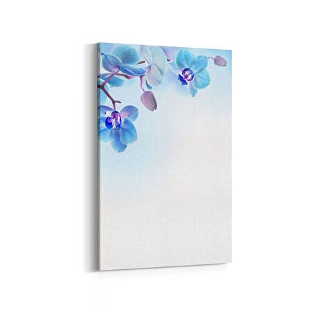 Olla 11692D Orkide Çiçek Görseli Dikey Kanvas Tablo (Ölçü: 60X90)