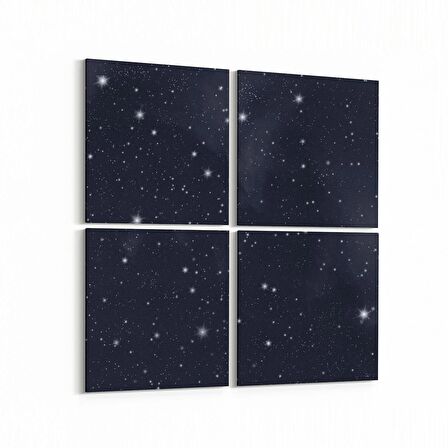 Olla 14808K4 Gece Gökyüzü Görseli Kare 4'lü Kanvas Tablo (Ölçü: 105X105)