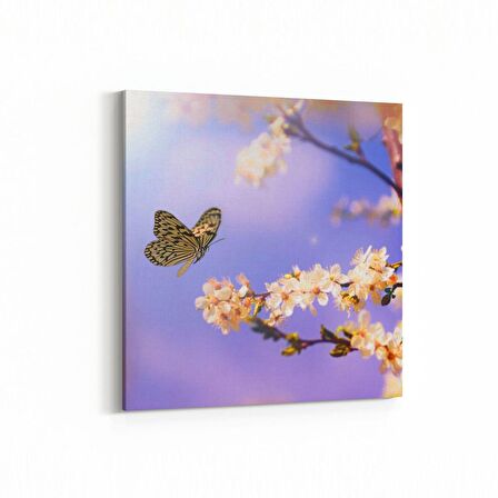 Olla 10542K Ağaç Görseli Kare Kanvas Tablo (Ölçü: 25X25)