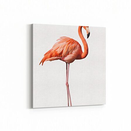 Olla 12631K Hayvanlar Alemi Görseli Kare Kanvas Tablo (Ölçü: 30X30)