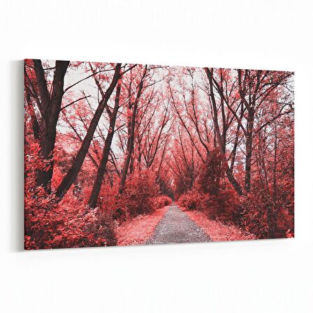 Olla 13583Y Doğa / Manzara Görseli Yatay Kanvas Tablo (Ölçü: 90X60)