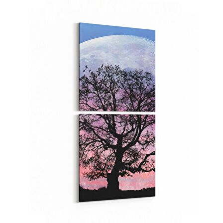 Olla 14159K2D Doğa / Manzara Görseli Kare 2'li Dikey Kanvas Tablo (Ölçü: 30X65)