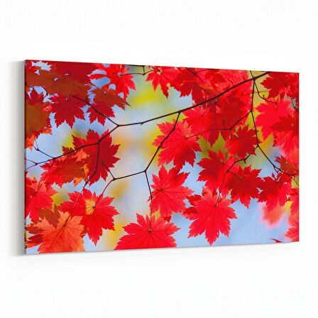 Olla 10951Y Ağaç Görseli Yatay Kanvas Tablo (Ölçü: 30X20)