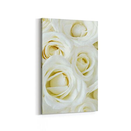 Olla 11646D Çiçek Görseli Dikey Kanvas Tablo (Ölçü: 60X90)