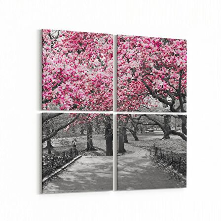 Olla 13832K4 Doğa / Manzara Görseli Kare 4'lü Kanvas Tablo (Ölçü: 65X65)