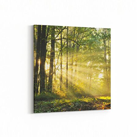 Olla 13268K Doğa / Manzara Görseli Kare Kanvas Tablo (Ölçü: 30X30)