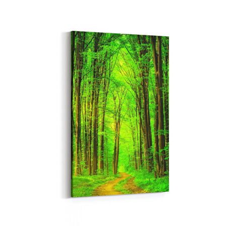 Olla 14469D Doğa / Manzara Görseli Dikey Kanvas Tablo (Ölçü: 100X150)