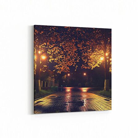 Olla 13843K Doğa / Manzara Görseli Kare Kanvas Tablo (Ölçü: 60X60)