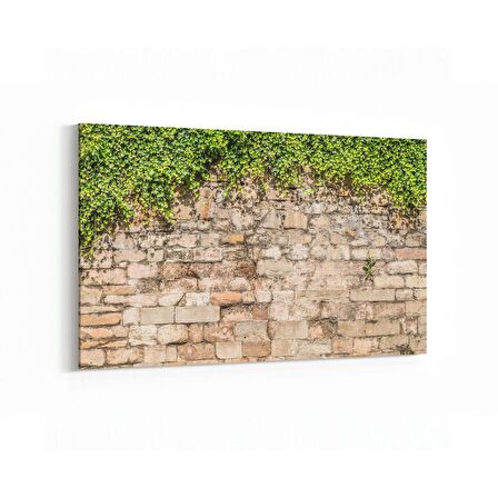 Olla 17336Y Taş / Tuğla Görseli Yatay Kanvas Tablo (Ölçü: 120X80)