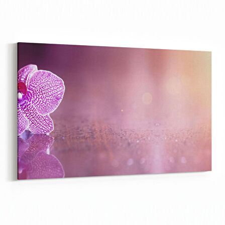Olla 11724Y Orkide Çiçek Görseli Yatay Kanvas Tablo (Ölçü: 150X100)