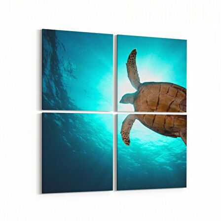 Olla 12928K4 Deniz / Okyanus Görseli Kare 4'lü Kanvas Tablo (Ölçü: 125X125)