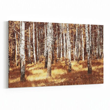 Olla 14095Y Doğa / Manzara Görseli Yatay Kanvas Tablo (Ölçü: 30X20)