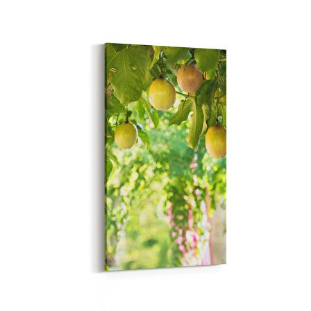 Olla 14962DD Gıda Görseli Dikey Dar Kanvas Tablo (Ölçü: 60X120)