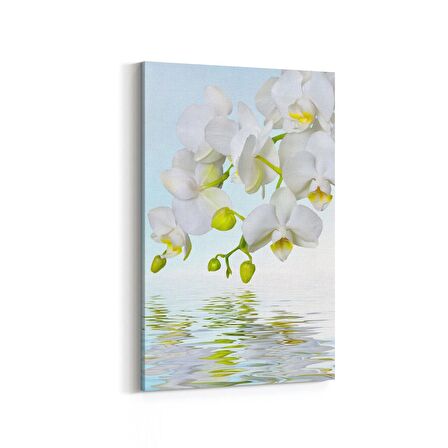 Olla 11735D Orkide Çiçek Görseli Dikey Kanvas Tablo (Ölçü: 20X30)