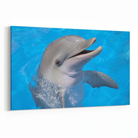 Olla 12890Y Deniz / Okyanus Görseli Yatay Kanvas Tablo (Ölçü: 70X50)