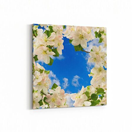 Olla 10685K Ağaç Görseli Kare Kanvas Tablo (Ölçü: 60X60)