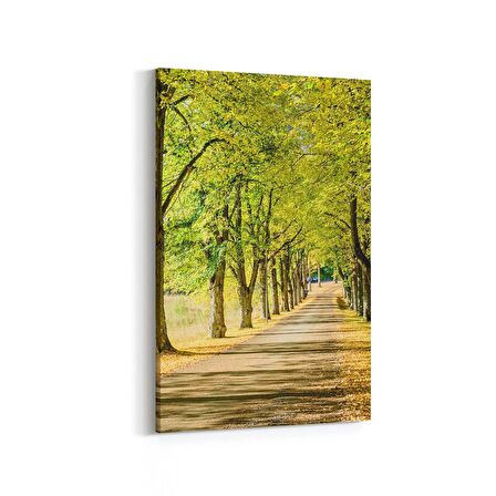 Olla 13285D Doğa / Manzara Görseli Dikey Kanvas Tablo (Ölçü: 60X90)