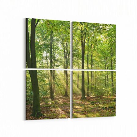 Olla 13599K4 Doğa / Manzara Görseli Kare 4'lü Kanvas Tablo (Ölçü: 105X105)
